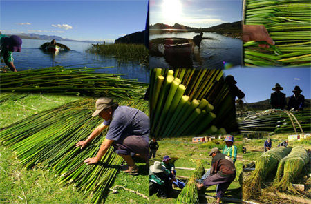 Hacer una balsa con Totora - Aimaras de Titicachi- Pais Arco.iris